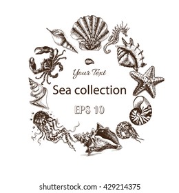 Vector illustration sketch - Sea collection.
seahorse, sea horse, hippocampus, starfish, sea star, whale, shrimp, prawn, crab, jellyfish, seashell