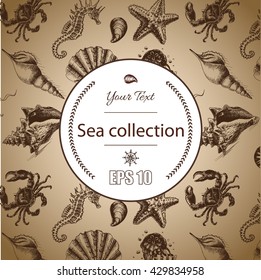 Vector illustration sketch - Sea collection.
seahorse, sea horse, hippocampus, starfish, sea star, whale, shrimp, prawn, crab, jellyfish, seashell