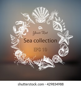 Vector illustration sketch - Sea collection.
seahorse, sea horse, hippocampus, starfish, sea star, whale, shrimp, prawn, crab, jellyfish, seashell