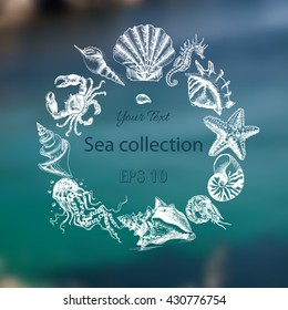Vector illustration sketch - Sea collection.
seahorse, sea horse, hippocampus, starfish, sea star, whale, shrimp, prawn, crab, jellyfish, seashell