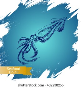 Vector illustration sketch - Sea collection.
Seafood - squid
