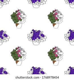vector illustration sketch seamless pattern with kalanchoe and violet on a white background