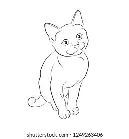 Vector illustration. Sketch of a seated kitten.EPS 8