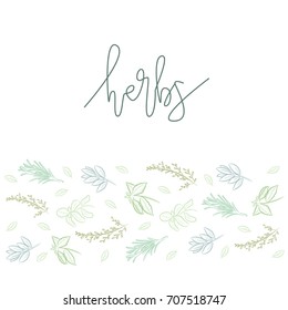 Vector illustration sketch set with lettering of spices for shop label. Herb spices calligraphy poster with basil, bay leaf, mint, rosemary, sage and thyme. Herbs for spice shop design. 