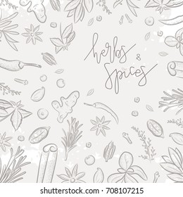 Vector illustration sketch set with lettering of herbs and spices. Poster with chilli pepper, ginger, cinnamon, anise, pepper, carnation, cardamom, sesame, basil, bay, mint, rosemary, sage and thyme. 