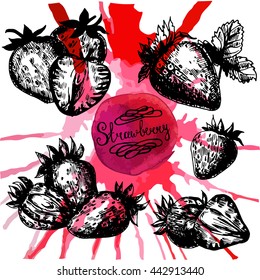 Vector illustration. Sketch of a set strawberry on a watercolor background. Pink spray. Elements for menu design.