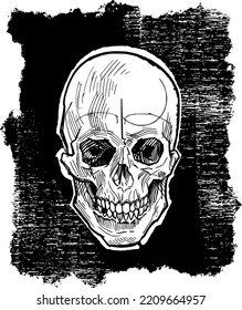 vector illustration sketch of the skull and bones