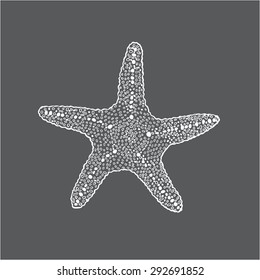 Vector illustration of Sketch starfish
