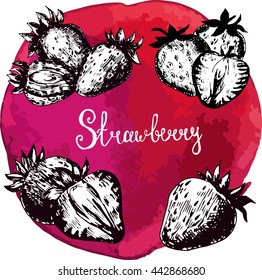 Vector illustration. Sketch of a strawberry on a watercolor background. Hand drawing . Berry set. For menu design. Four object.