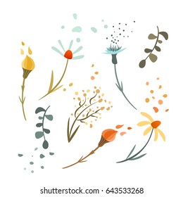 Vector illustration in sketch style. Collection of isolated, hand drawn flowers and plants. Colorful set. Wedding invitation, cards.
