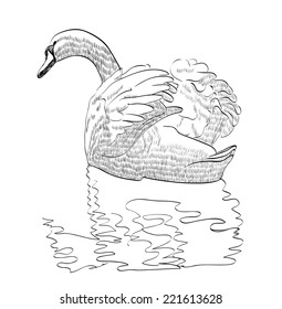 vector illustration sketch of a swan swimming