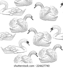 vector illustration sketch of a swan swimming