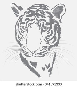 Vector illustration of sketch of a tiger's face 