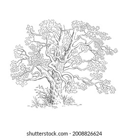 Vector illustration with sketch tree, black and white line art.