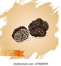 Vector illustration sketch - Truffle mushrooms.