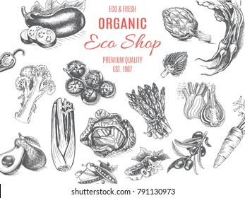 Vector illustration sketch - vegetables. Card organic shop. vintage design template, banner.