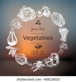 Vector illustration sketch of vegetables
Tomato, Peas, broccoli, asparagus, artichoke, cabbage,  eggplant, avocado, arugula, basil, herbs