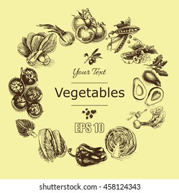 Vector illustration sketch of vegetables
Tomato, Peas, broccoli, asparagus, artichoke, cabbage,  eggplant, avocado, arugula, basil, herbs