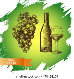 Vector illustration sketch - wine and grape
