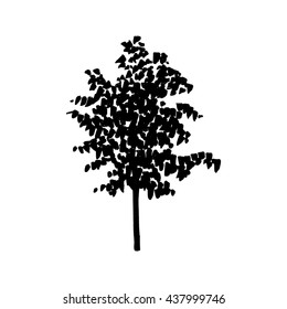 Vector illustration of sketched tree, freehand tree drawing