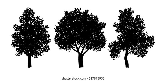 Vector illustration of sketched trees set, freehand tree drawing
