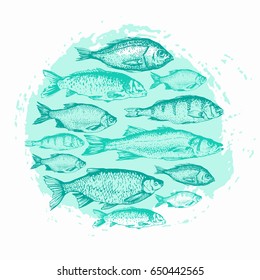 Vector illustration with sketches of fish. Round composition. Hand drawn fish. Blue design. Fish Market. Poster for seafood menu.