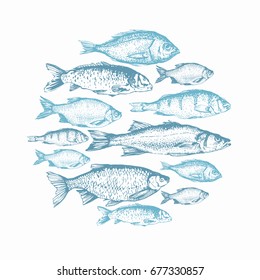 Vector illustration with sketches of fish. Round composition. Hand drawn fish. Blue design. Fish Market. Poster for seafood menu.