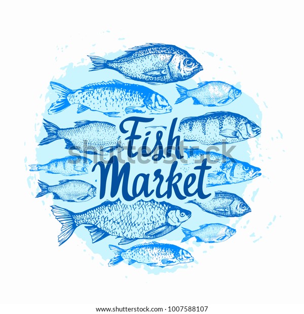 Vector Illustration Sketches Fish Round Composition Stock Vector ...