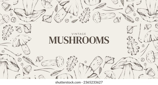 Vector illustration. Sketches of forest plants. Graphic horizontal banner made of porcini, branches, leaves. Mushrooms. For menu design, labels, product packaging