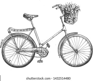Vector illustration of sketchy style bike for lady. Street city bicycle spring flowers basket. Vintage hand drawn style.
