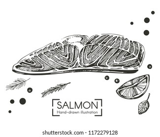Vector illustration with sketh salmon