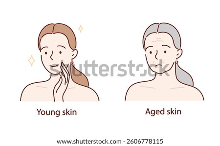 vector illustration of the skin aging process.