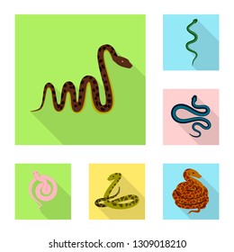 Vector illustration of skin and reptile logo. Collection of skin and danger stock symbol for web.