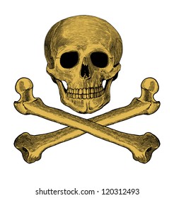 Vector illustration of skull and crossbones in engraved style  Isolated, grouped, transparent background