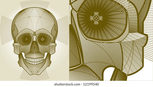 vector illustration of a skull in a draftstyle