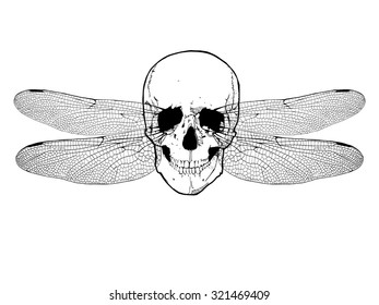 Vector illustration - Skull with dragonfly wings