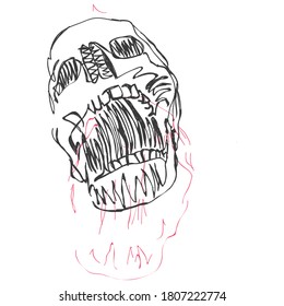 vector illustration of a skull drawing