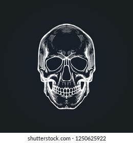 Vector illustration of skull in engraving style. Design concept for party invitation, greeting card. Halloween, Day of the Dead background.
