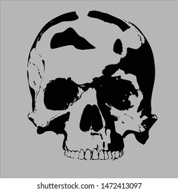 vector illustration of a skull, EPS 10