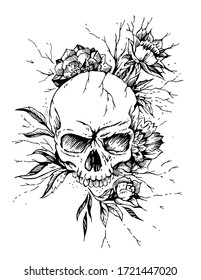 Vector illustration of skull and flowers.