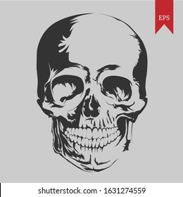 Vector illustration of skull graphic, can be used as background, web icons, etc.