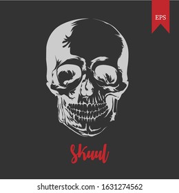Vector illustration of skull graphic, can be used as background, web icons, etc.