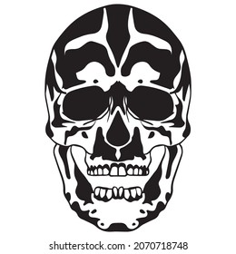vector illustration of skull graphic design, icon, art tattoo sketch, hand draw, use in print