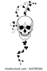 vector illustration of skull  and ivy in black and white