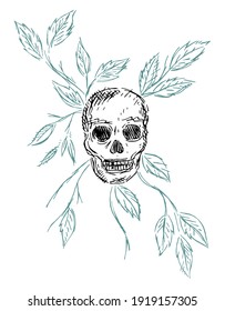 Vector illustration of skull with leaves in simple and stylized strokes. Art in draft style.