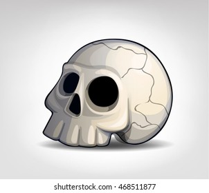 Vector illustration of a skull on a light background.