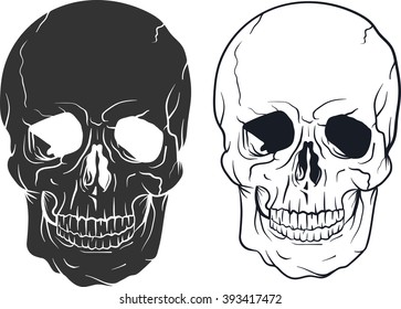 Vector illustration of  skull on white background. 