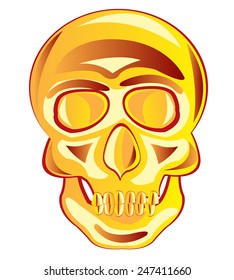 Vector illustration of the skull of the person on white background