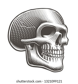 Vector illustration of a skull profile in tatto style on a white background