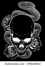 vector illustration of skull, roses and snake